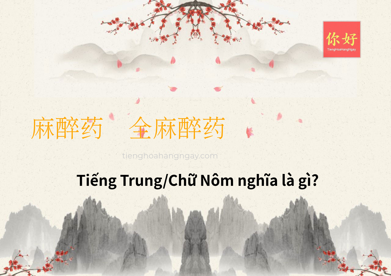 麻醉药  全麻醉药 tiếng Trung là gì?